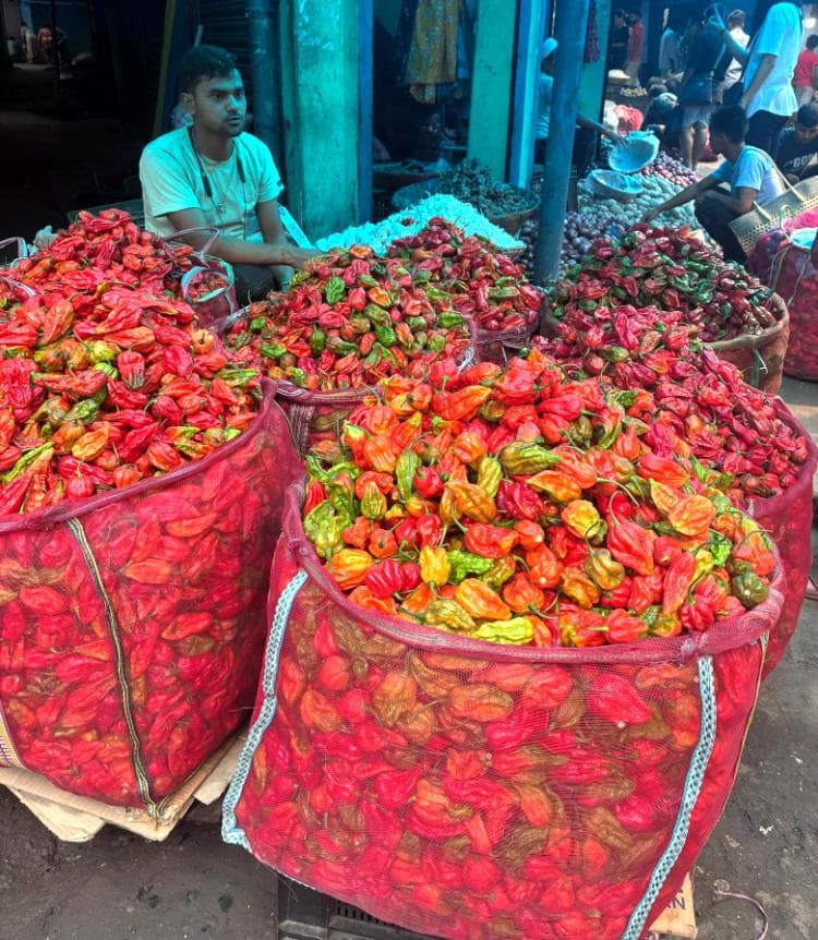 Sacks of fresh red and orange chillies at a market stall